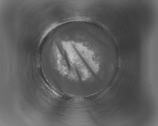 X0000076311310200610201602