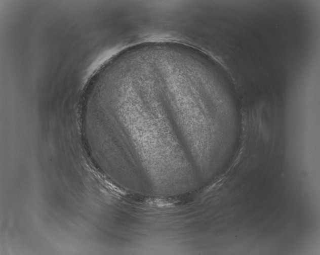 X0000076311311200610201602