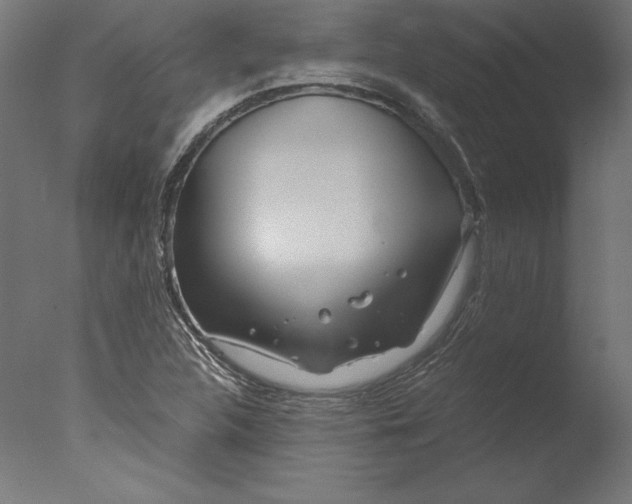 X0000076311312200610201602