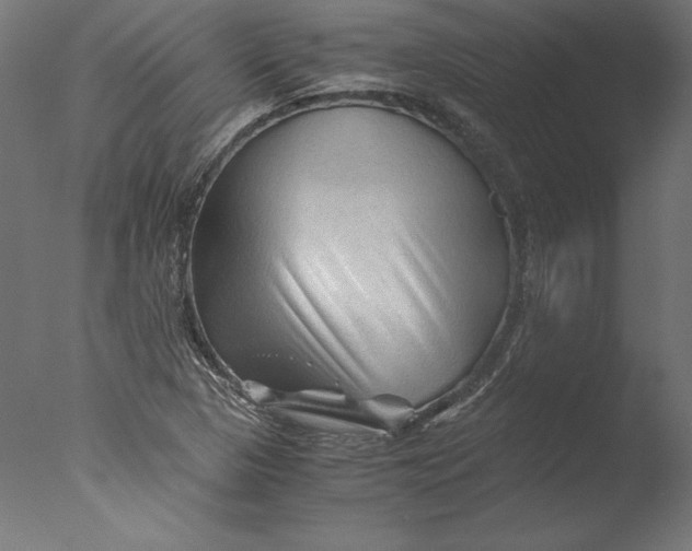 X0000076311313200610201602