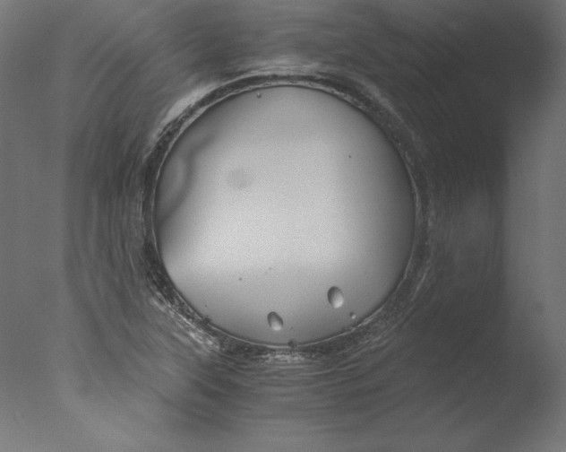 X0000076311315200610201602