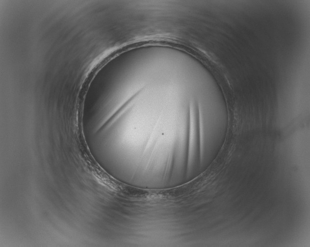 X0000076311316200610201602