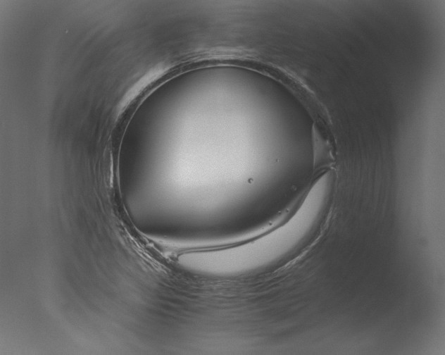 X0000076311317200610201602