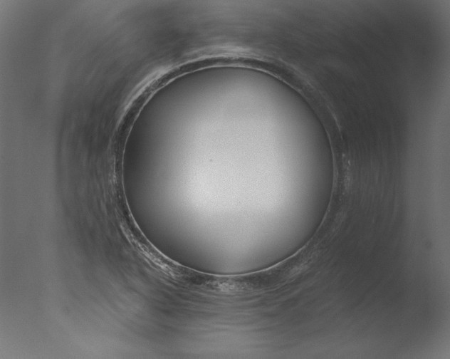 X0000076311318200610201602