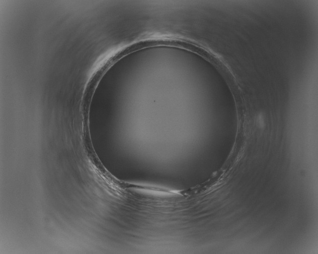 X0000076311319200610201602