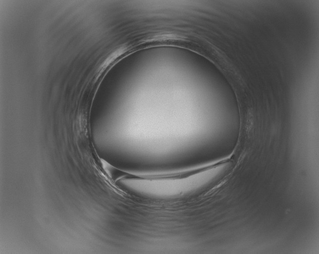 X0000076311321200610201602