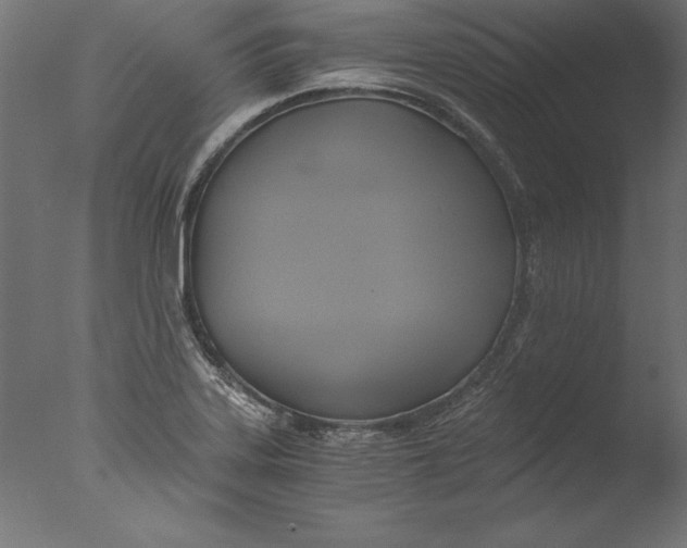 X0000076311323200610201602