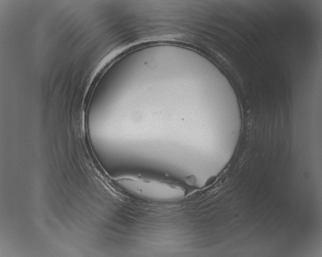 X0000076311324200610201602