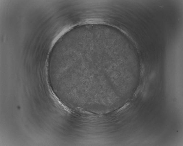 X0000076311325200610201602