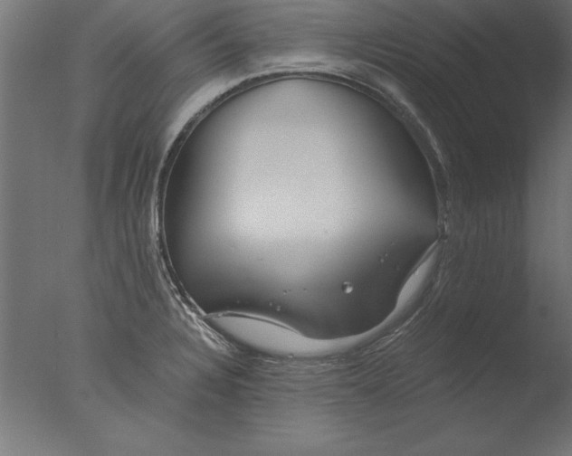 X0000076311328200610201602