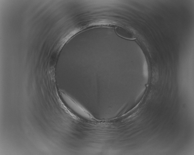 X0000076311329200610201602