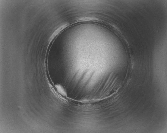 X0000076311330200610201602