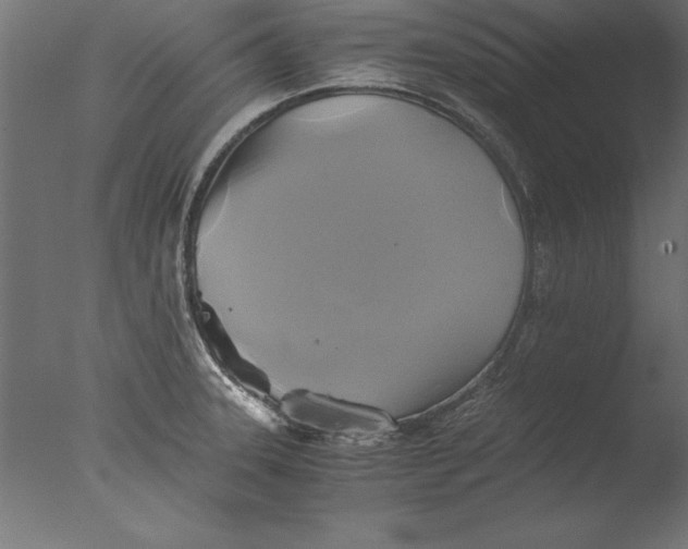 X0000076311331200610201602