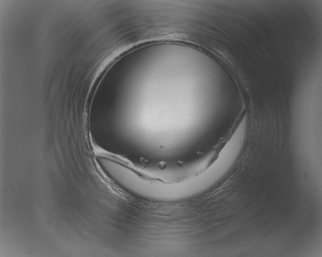 X0000076311332200610201602