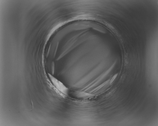 X0000076311334200610201602