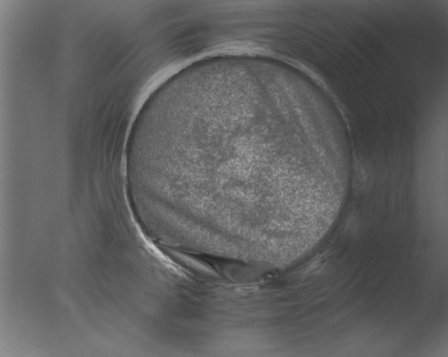 X0000076311335200610201602