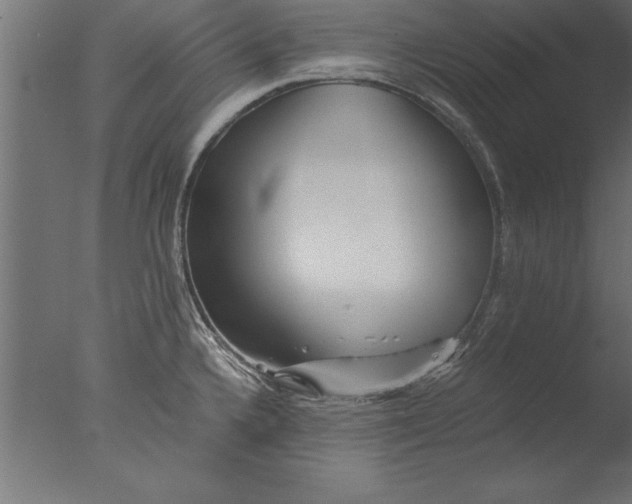 X0000076311336200610201602