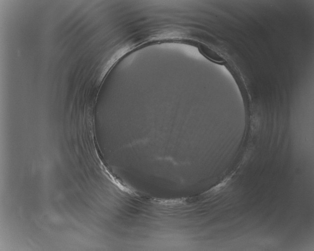 X0000076311337200610201602