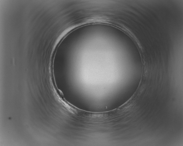 X0000076311339200610201603