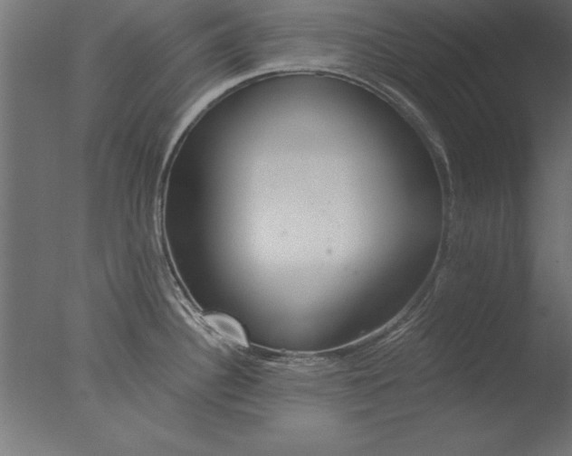 X0000076311340200610201603