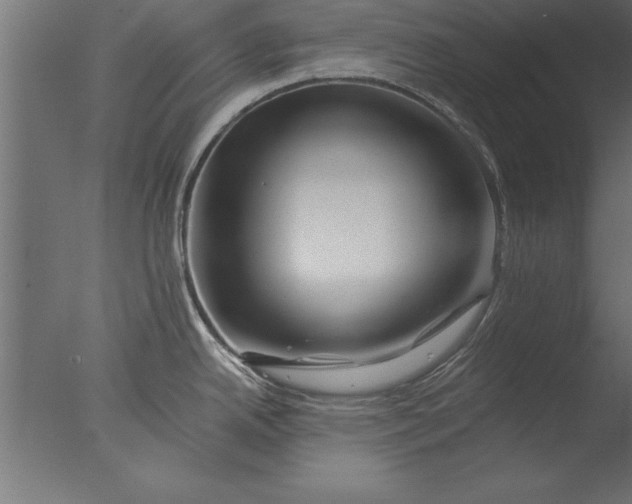 X0000076311342200610201603