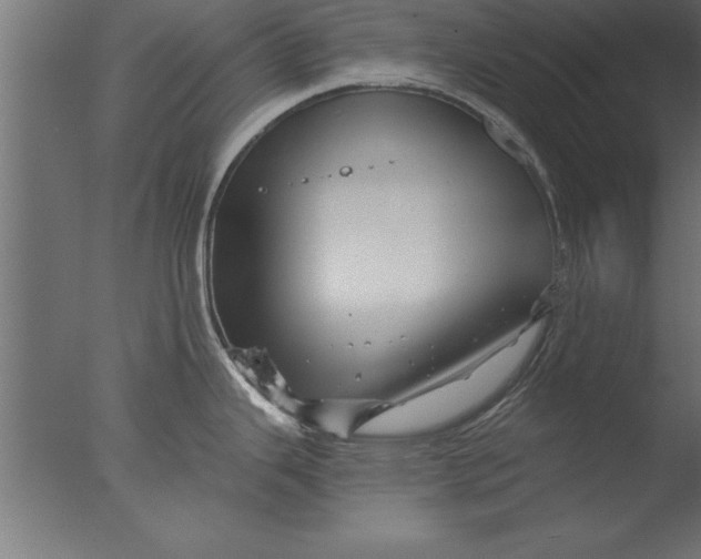 X0000076311343200610201603