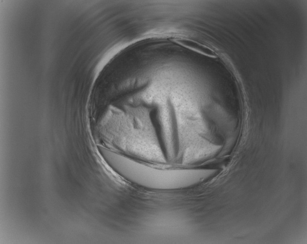 X0000076311344200610201603