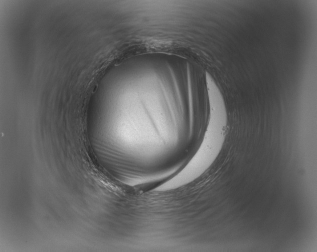 X0000076311345200610201602