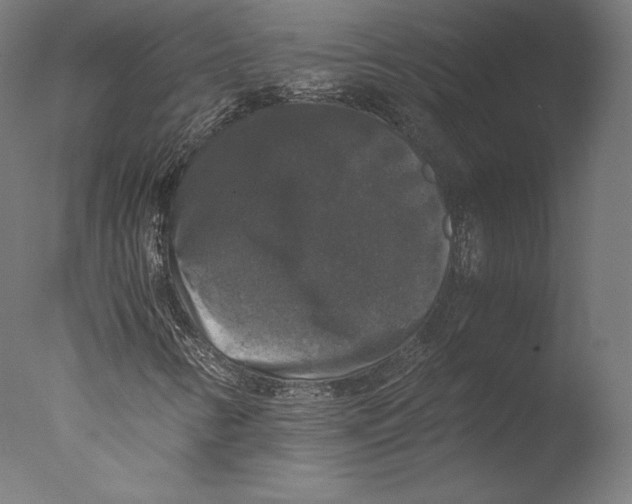 X0000076311346200610201602