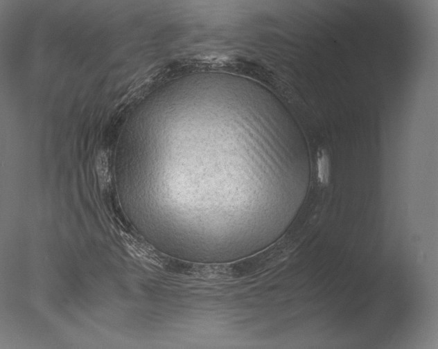 X0000076311347200610201602