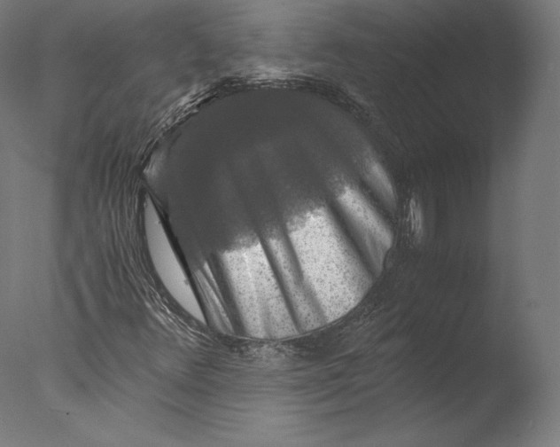 X0000076311348200610201602