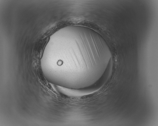 X0000076311349200610201602