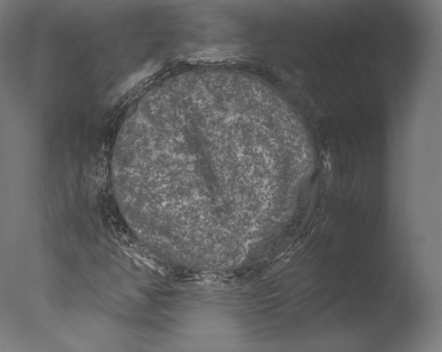 X0000076311350200610201602