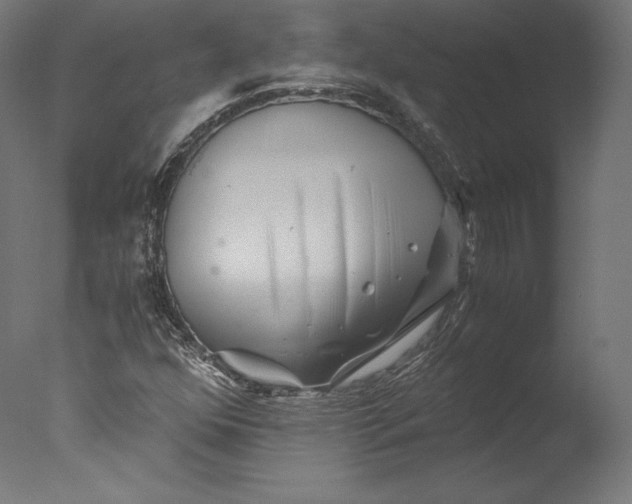 X0000076311352200610201602