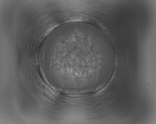 X0000076311353200610201602