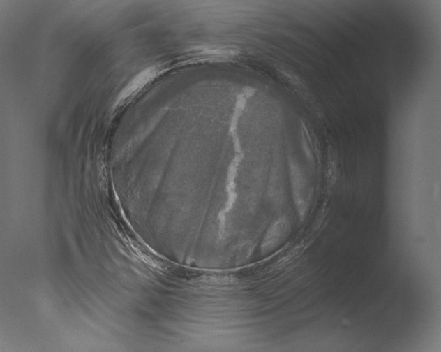 X0000076311354200610201602