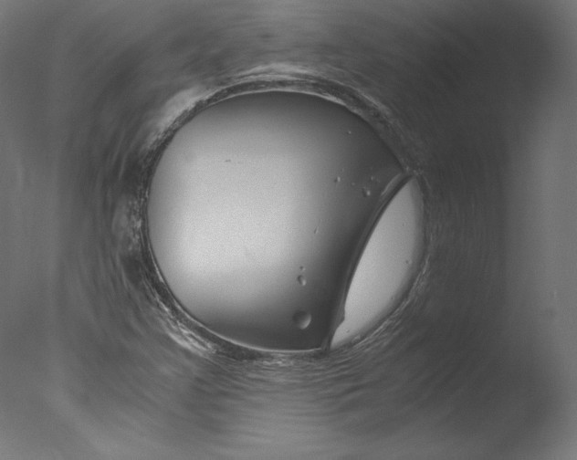 X0000076311355200610201602