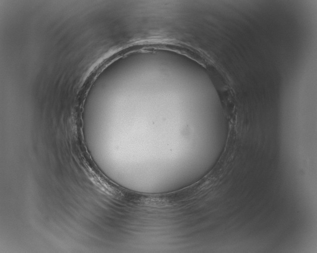 X0000076311356200610201602