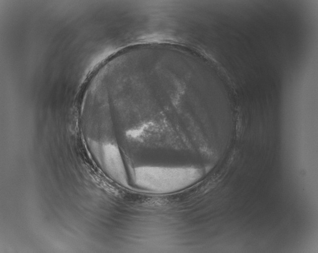 X0000076311358200610201602