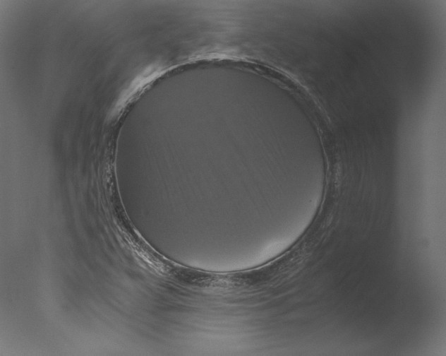 X0000076311359200610201602