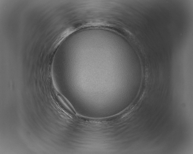 X0000076311361200610201602