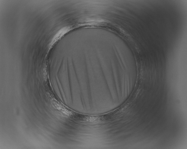 X0000076311362200610201601