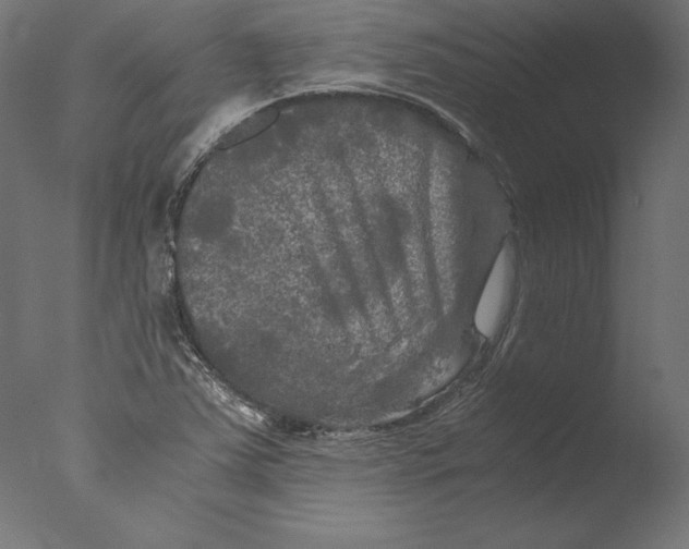 X0000076311363200610201601