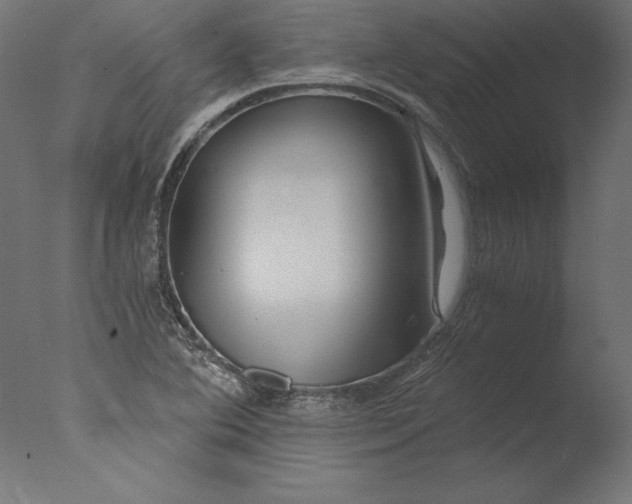 X0000076311364200610201601