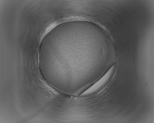 X0000076311365200610201601