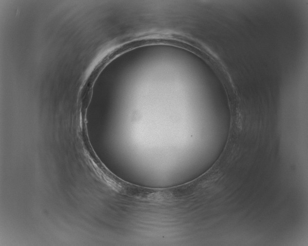 X0000076311368200610201601