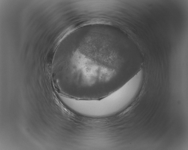 X0000076311369200610201601