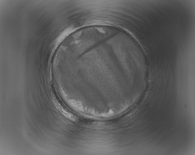 X0000076311371200610201601