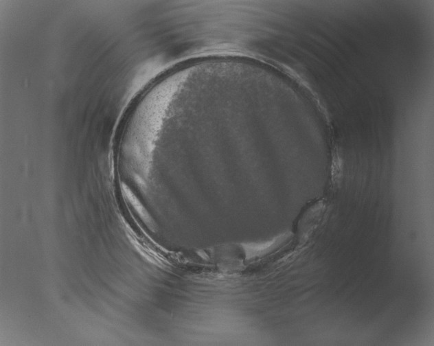 X0000076311372200610201601