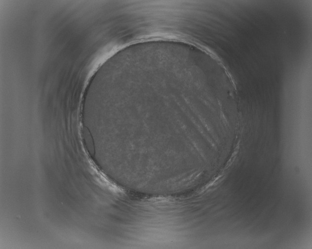 X0000076311373200610201601